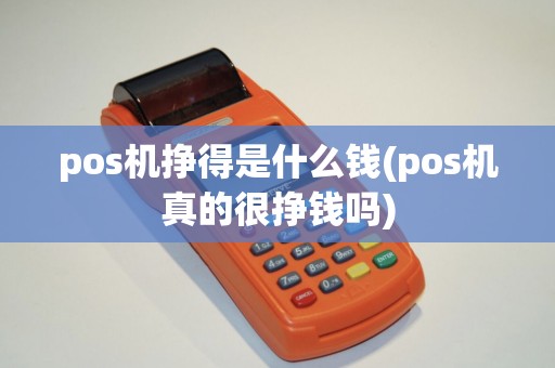 pos机挣得是什么钱(pos机真的很挣钱吗)