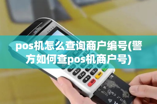 pos机怎么查询商户编号(警方如何查pos机商户号)