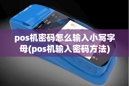 pos机密码怎么输入小写字母(pos机输入密码方法)