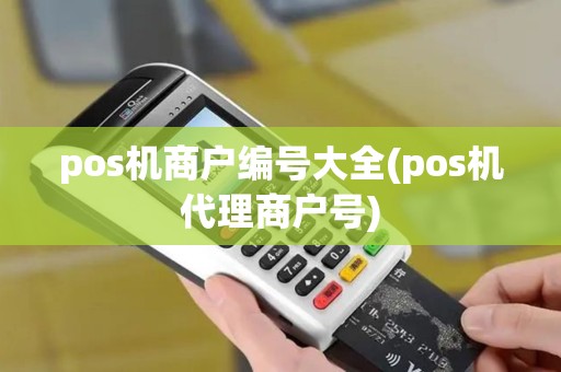 pos机商户编号大全(pos机代理商户号)
