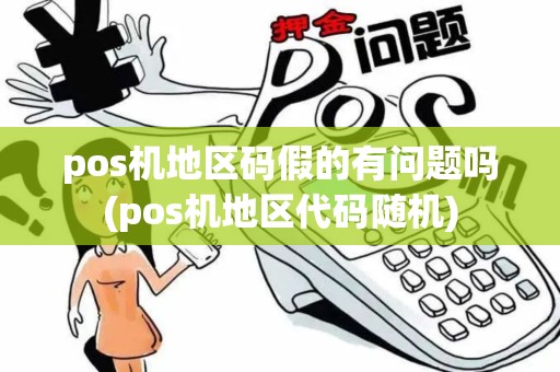 pos机地区码假的有问题吗(pos机地区代码随机)