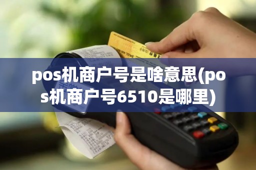 pos机商户号是啥意思(pos机商户号6510是哪里)