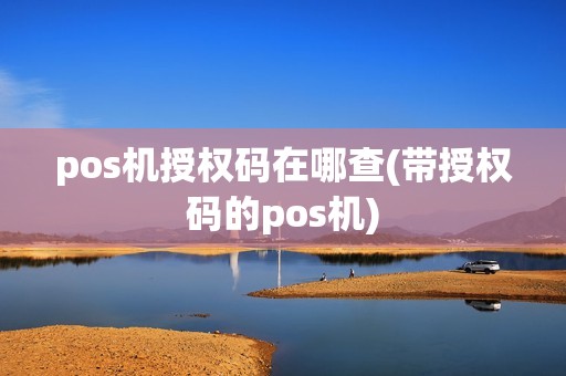 pos机授权码在哪查(带授权码的pos机)
