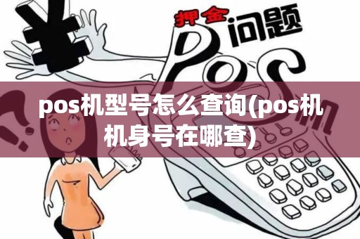 pos机型号怎么查询(pos机机身号在哪查)