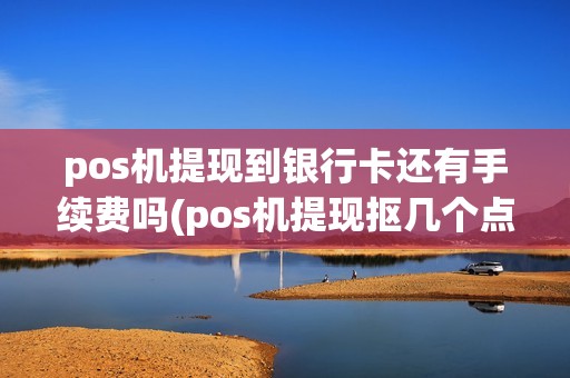 pos机提现到银行卡还有手续费吗(pos机提现抠几个点)