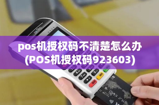 pos机授权码不清楚怎么办(POS机授权码923603)