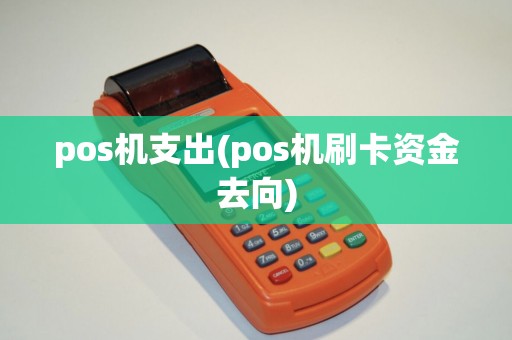 pos机支出(pos机刷卡资金去向)