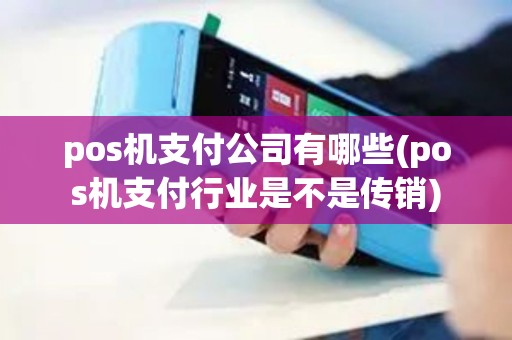 pos机支付公司有哪些(pos机支付行业是不是传销)
