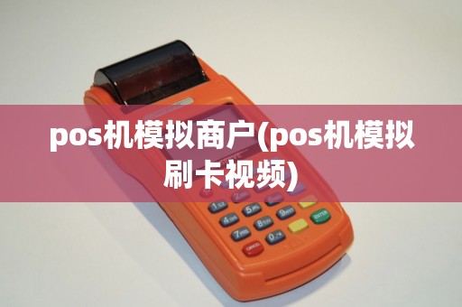 pos机模拟商户(pos机模拟刷卡视频)