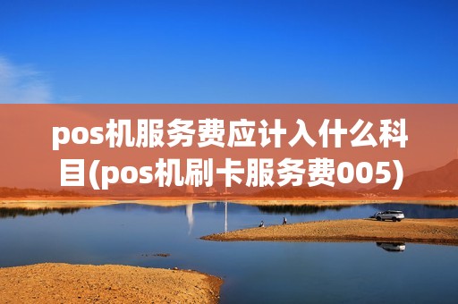 pos机服务费应计入什么科目(pos机刷卡服务费005)