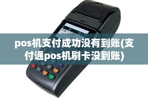 pos机支付成功没有到账(支付通pos机刷卡没到账)