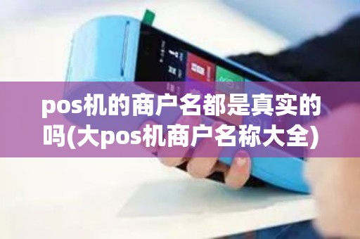 pos机的商户名都是真实的吗(大pos机商户名称大全)