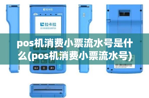pos机消费小票流水号是什么(pos机消费小票流水号)