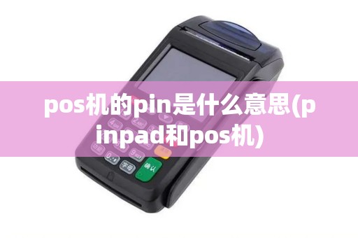 pos机的pin是什么意思(pinpad和pos机)
