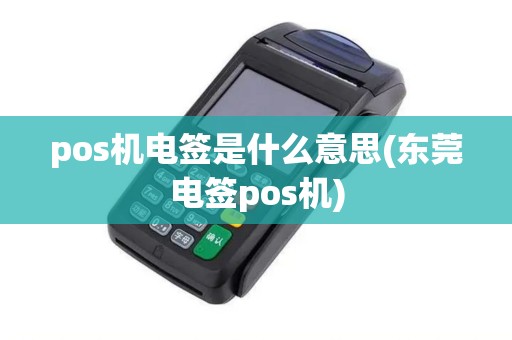 pos机电签是什么意思(东莞电签pos机)