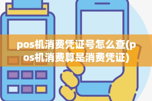 pos机消费凭证号怎么查(pos机消费算是消费凭证)